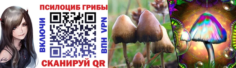 Галлюциногенные грибы MAGIC MUSHROOMS  omg онион  Нахабино 